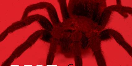 Best of Rochester 2017