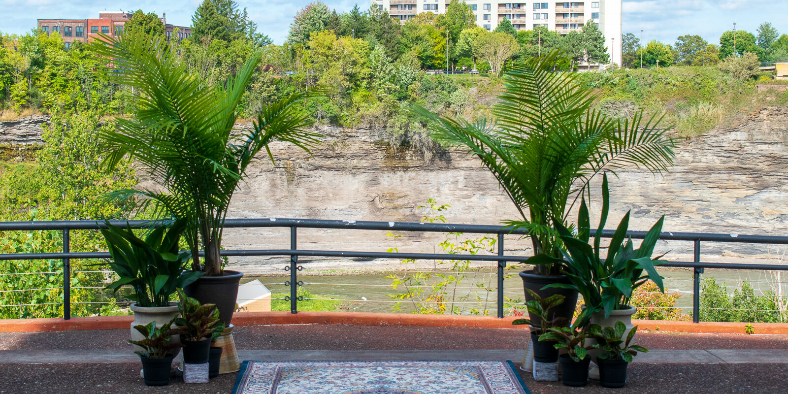 Spellman Wedding | La Luna High Falls | Rochester DJ