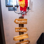 Raha Wedding | Rochester DJ | Hyatt Rochester | Harry Potter Wedding Theme