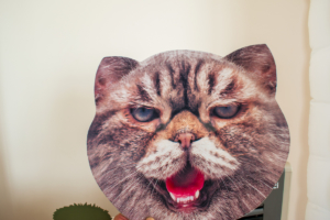 Rochester DJ | Arbor At The Port Weddings